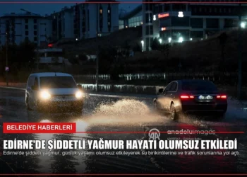 news card d672724c2b1642ec