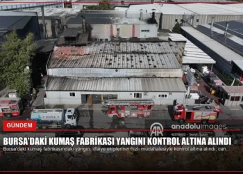 news card d820fd9df6d71ef2