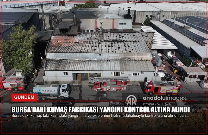 news card d820fd9df6d71ef2
