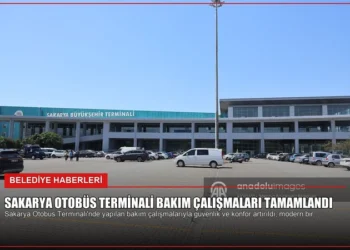 news card d936705b88fba368