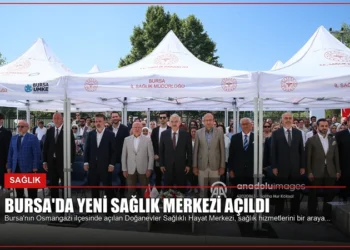 news card e081f75b91e3d825