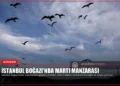 news card e1d256828a524964