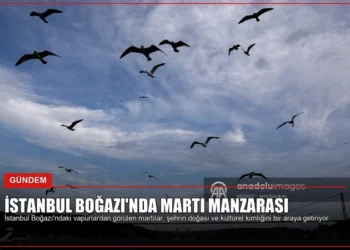 news card e1d256828a524964
