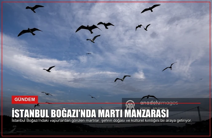 news card e1d256828a524964