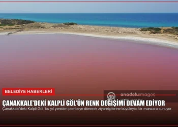 news card e3c8ce44c24f76ab