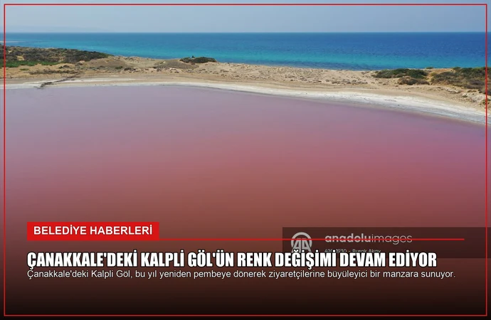 news card e3c8ce44c24f76ab