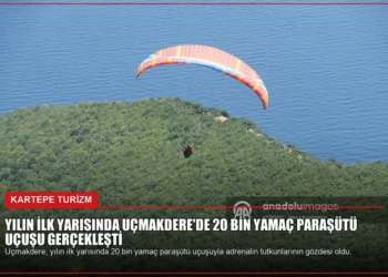 news card ea055d928888d5a3