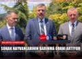news card f2a5218b01792f2e