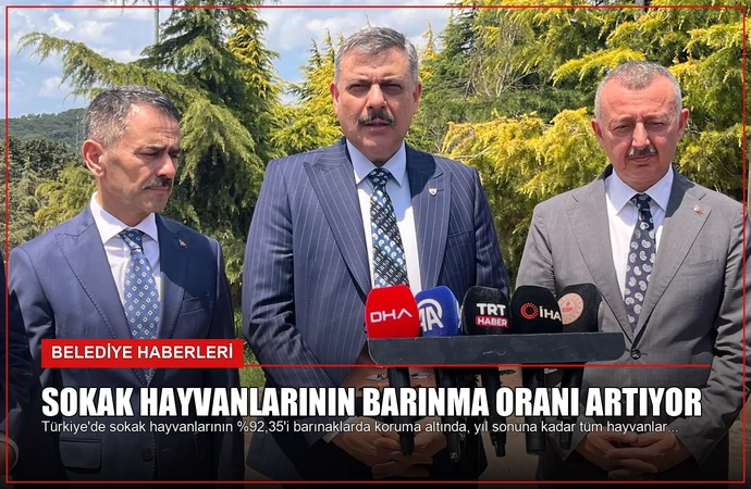 news card f2a5218b01792f2e