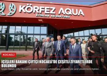 news card f2f99d07bfb24b00