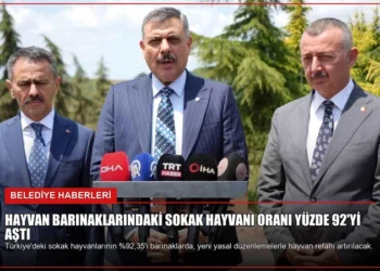 news card f3f5929a41b38a9b