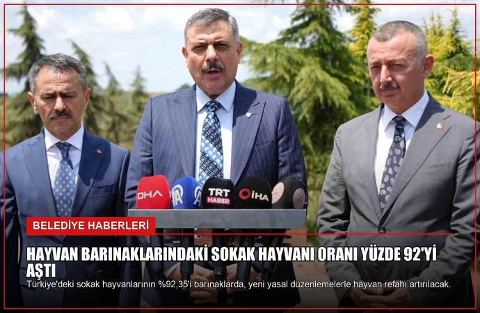 news card f3f5929a41b38a9b