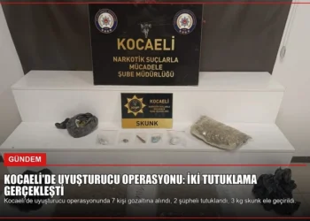 news card f686e0c3d18db2ed