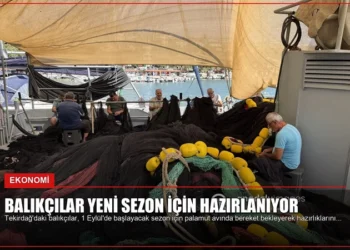 news card f6a0556e4aacf545