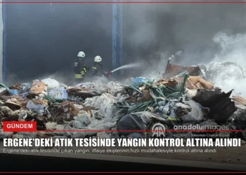 news card f6ec06708d4edeff