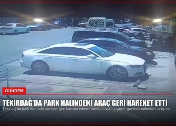 news card fcb8bc86a06c8311