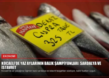 news card fe5f4f52903b4166