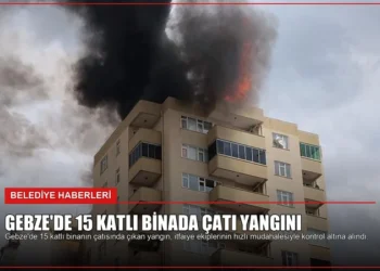 news card fed0a482c2b5331f