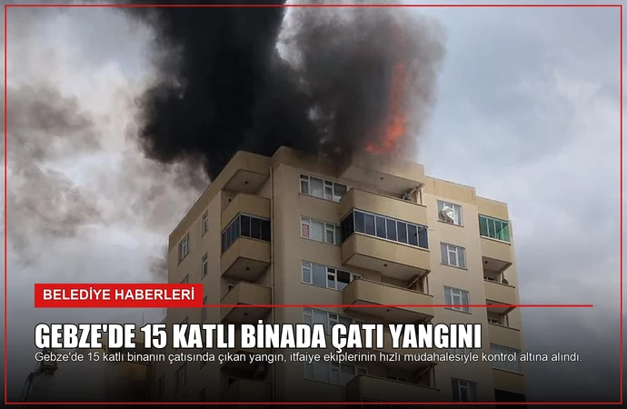 news card fed0a482c2b5331f