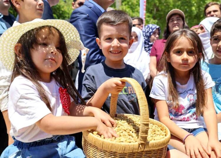 ulukale dutunda bu yil 650 ton rekolte beklen 20032511 amp