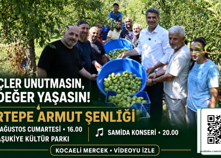 armut senligi kocaeli mercek qr