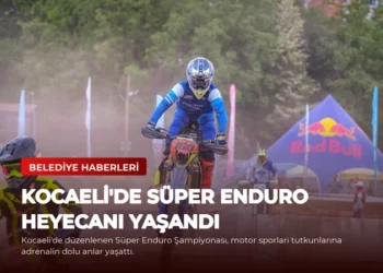 news card 01c3c07163c4cf31