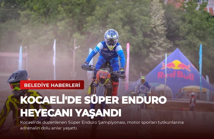 news card 01c3c07163c4cf31