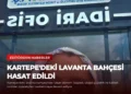 news card 0344482d9cbb7aee
