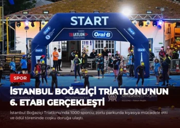 news card 0462a968580cb94a