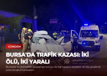news card 046a69219d9804c8
