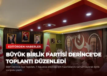news card 05d936f25a91fe81