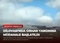 news card 0e0881933bba0b19