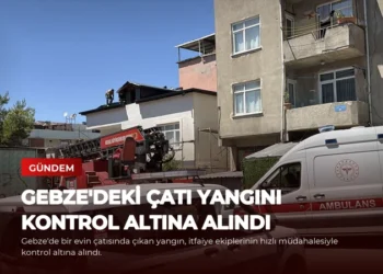 news card 0e51d942edf13f17