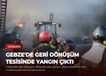 news card 108c0dc198233c9b