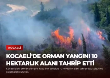 news card 12b906619fb20cfc