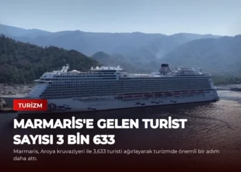 news card 13b8f928182f1a17