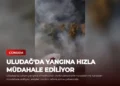 news card 140d2c130d5bc14f