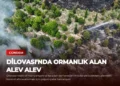news card 164033d068be6f27