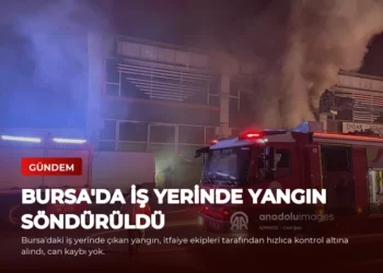 news card 167fc37851ecc154