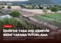 news card 19875e8a54880cca