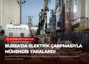 news card 1a240d3e814c07c5