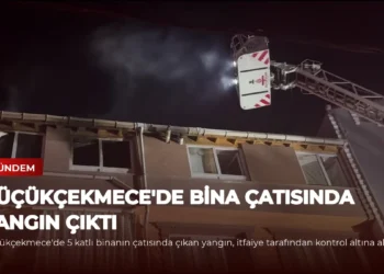 news card 1a3bf26840933047
