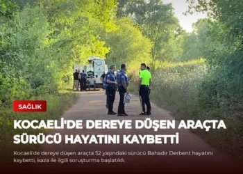 news card 1d6b1d3c83e4c27a