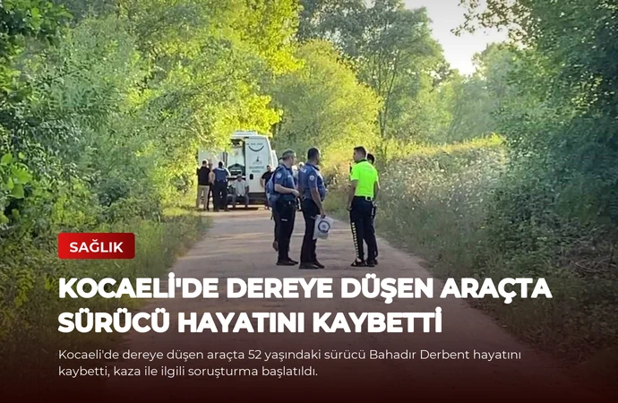 news card 1d6b1d3c83e4c27a