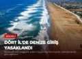 news card 228f6f9abf4d9d55