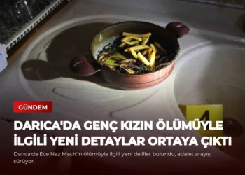 news card 23464d8ae790b91e
