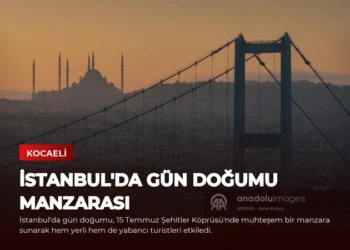 news card 2498f6cde5d4e210
