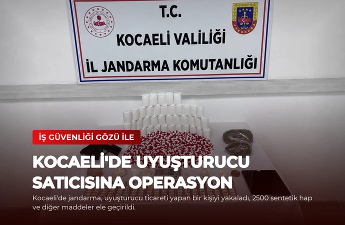 news card 279a568339205b3b