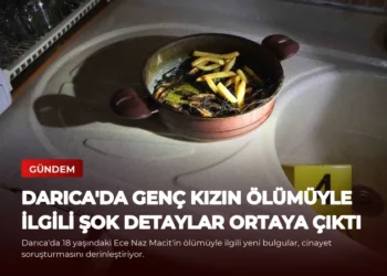 news card 2a25cdf10151b28d