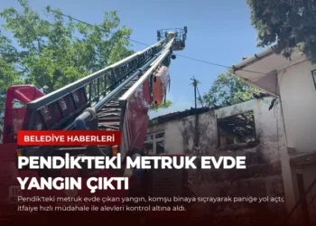 news card 2b5b397c33a3cc12